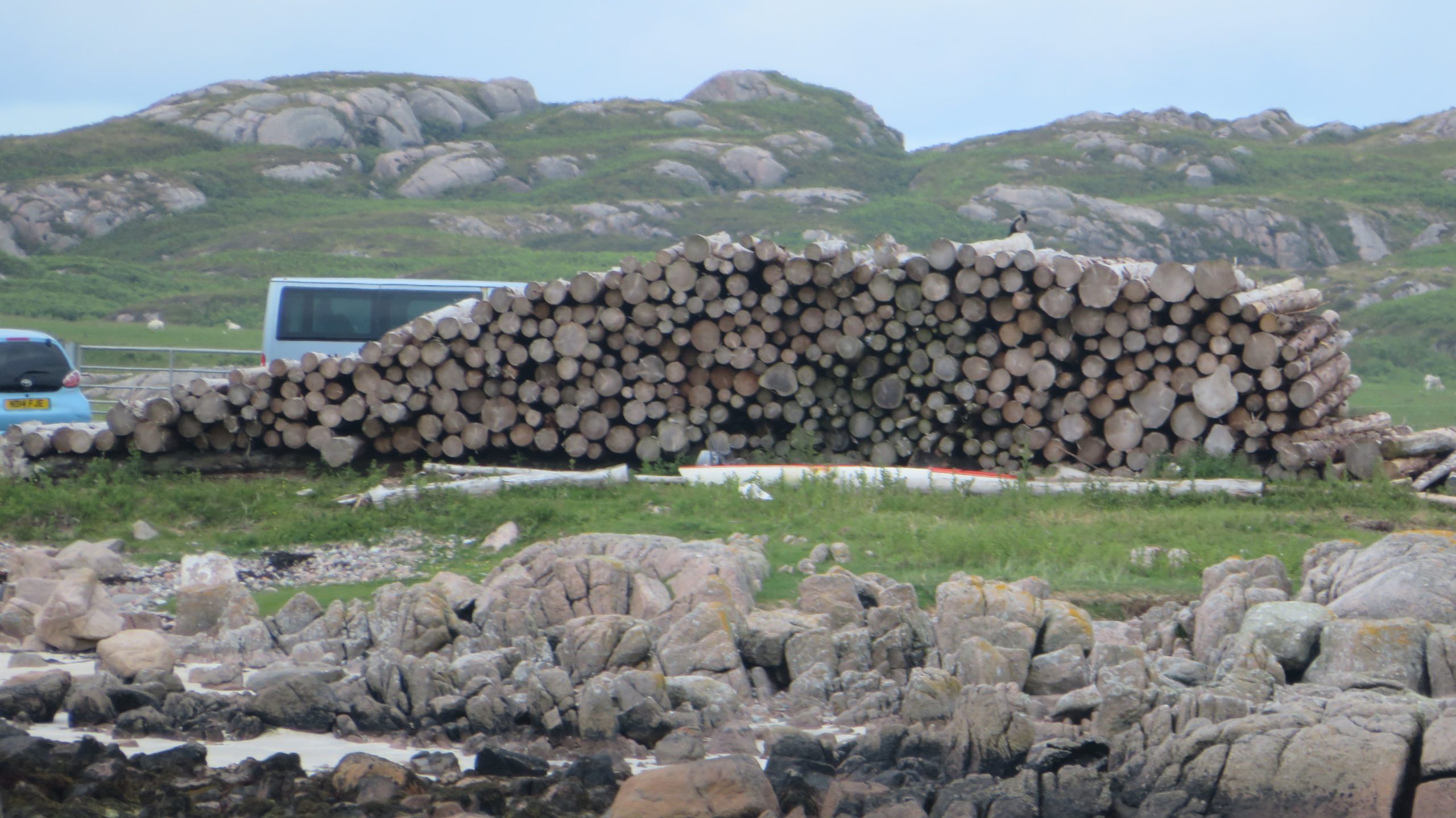 A word from our member Adam